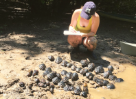 Freshwater mussels are disappearing in East Texas. Here’s why that’s “scary as hell”