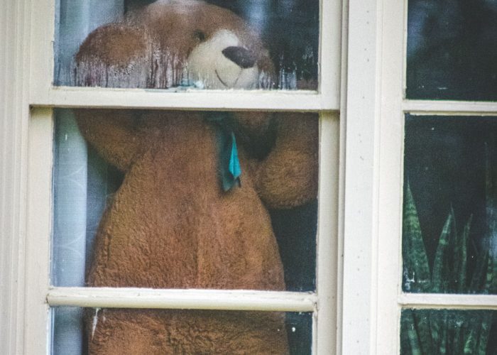 TeddyTiredOfQuarantine2