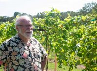 What does it take to grow wine in East Texas?